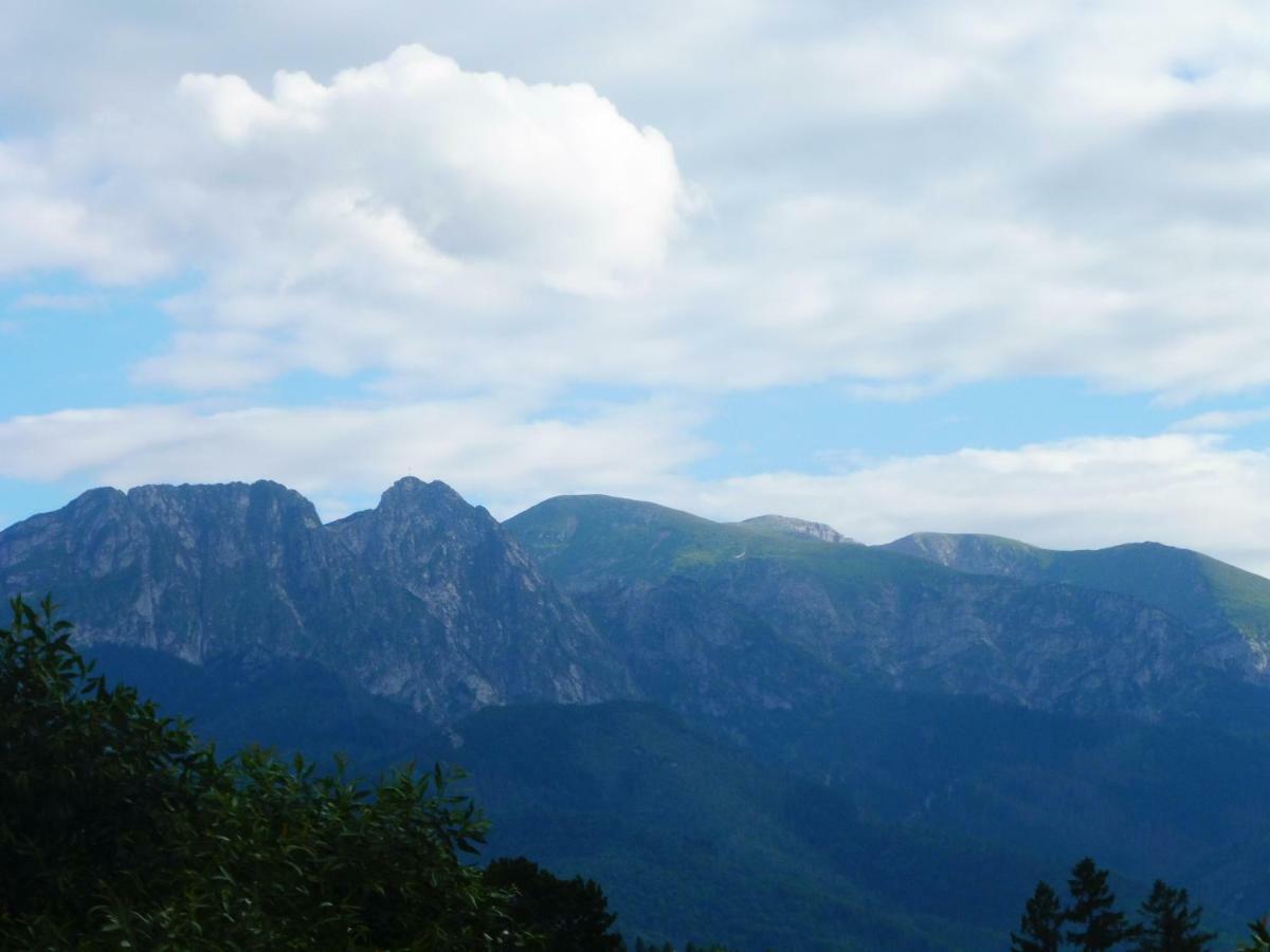 Apartamenty Folk Dream Harenda Zakopane Dış mekan fotoğraf