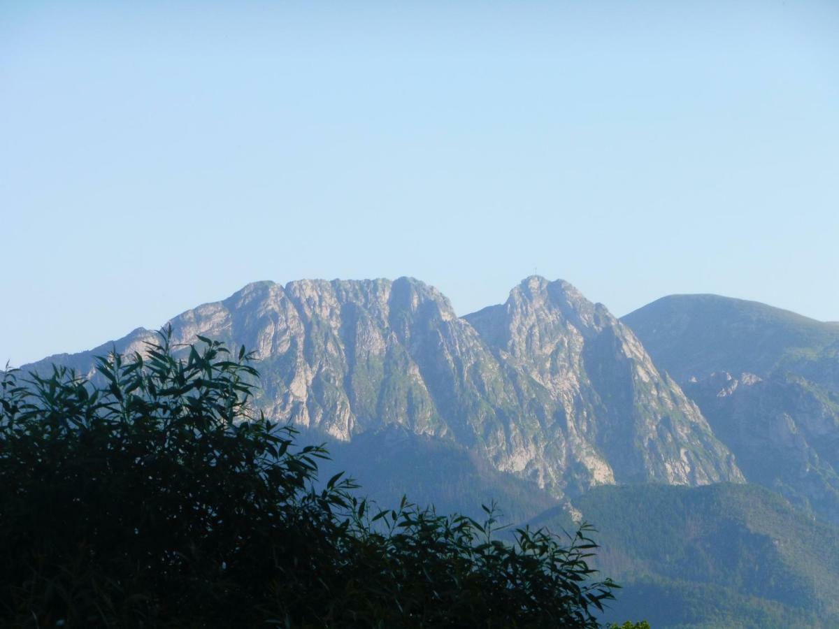 Apartamenty Folk Dream Harenda Zakopane Dış mekan fotoğraf